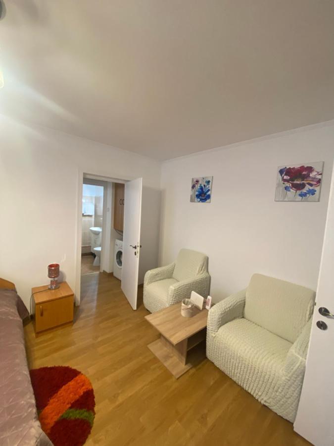 Central Park Studio Piatra Neamt Exterior photo